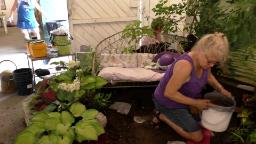 Navigate to Randolph Garden Club - Marshfield Fair 8-15-2024