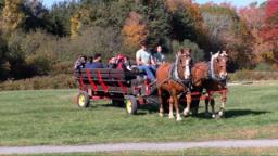 Navigate to Harvest Hoopla 10-19-2024